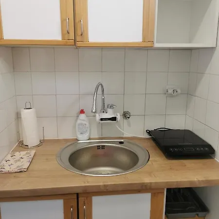 Centar 아파트 Aleksandrovac