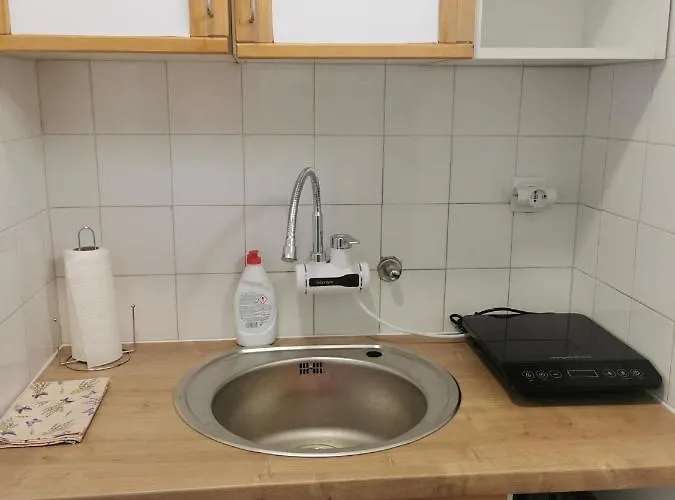 Centar Apartamento Aleksandrovac